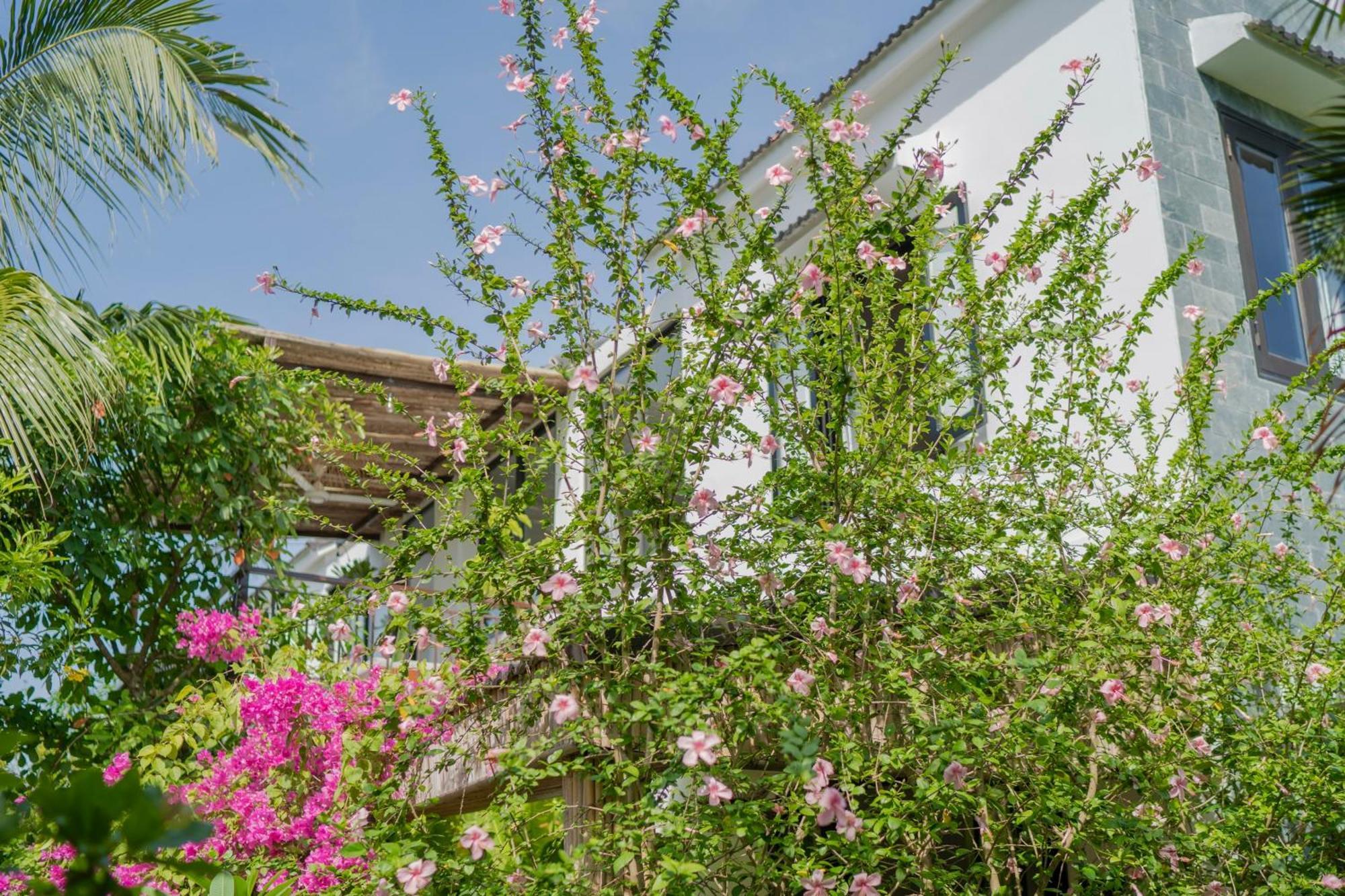 An Bang Garden Pool Villa ฮอยอัน ภายนอก รูปภาพ